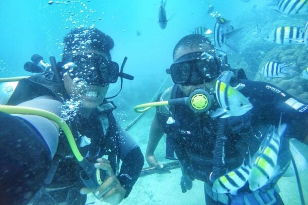 Bali Scuba Diving For Begginer
