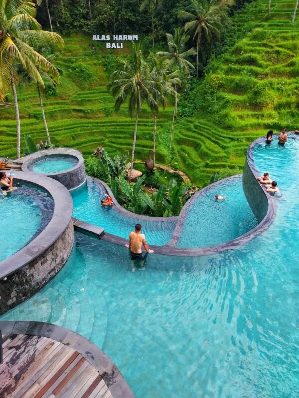 Ubud Monkeys Forest Sanctuary and Cretya Day Club