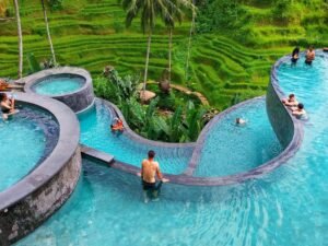 Ubud Monkeys Forest Sanctuary and Cretya Day Club